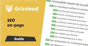 référencement on page