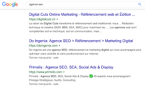 société de référencement sur internet